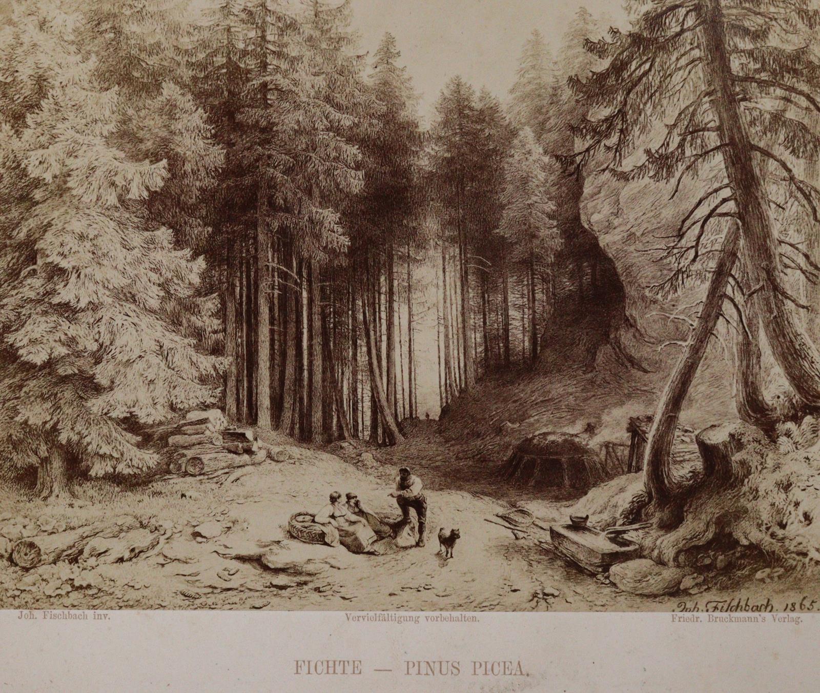 Fischbach,J. u. H.Masius. | Bild Nr.4