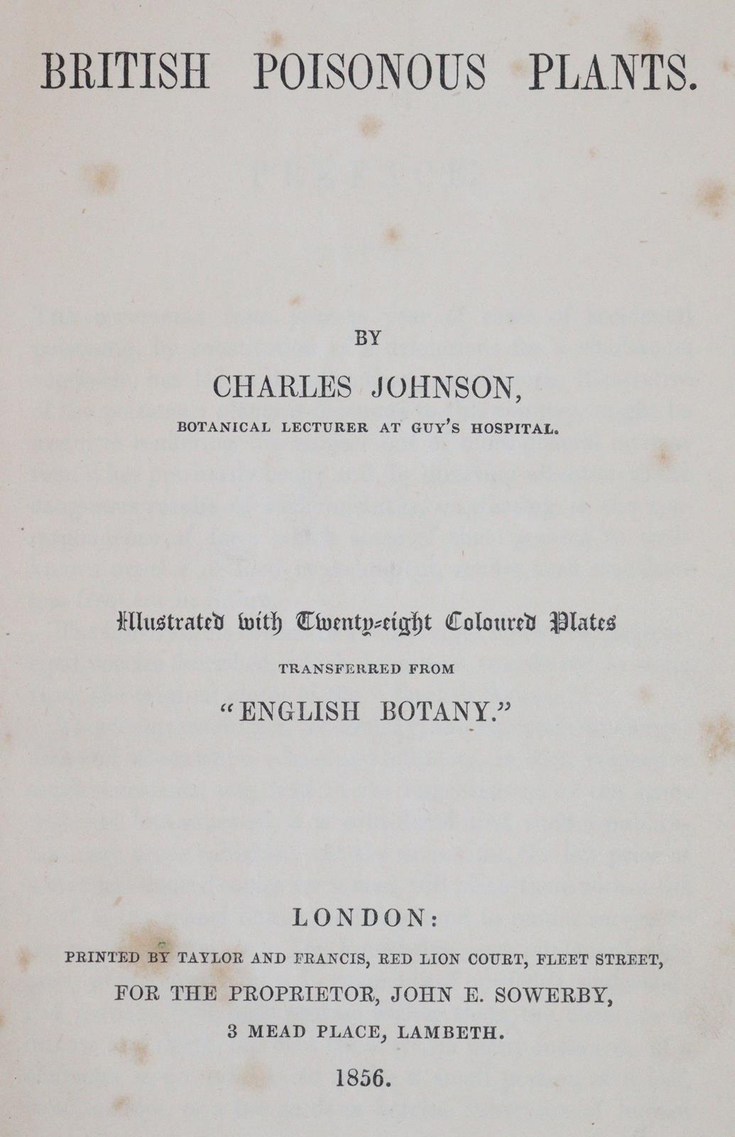 Johnson,C. | Bild Nr.5