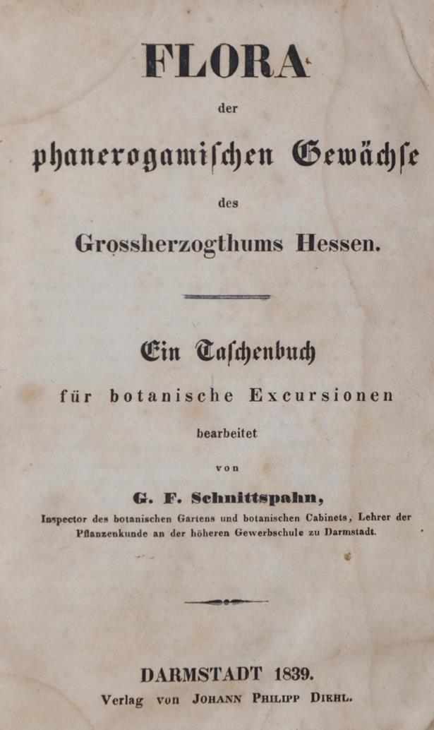 Schnittspahn,G.F. | Bild Nr.1