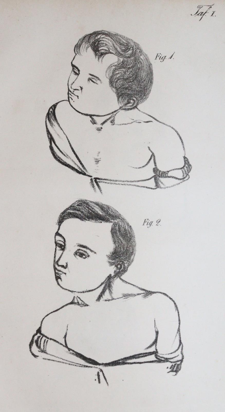 Dieffenbach,J.F. | Bild Nr.2
