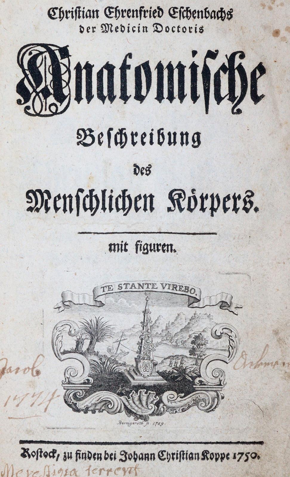 Eschenbach,C.E. | Bild Nr.1