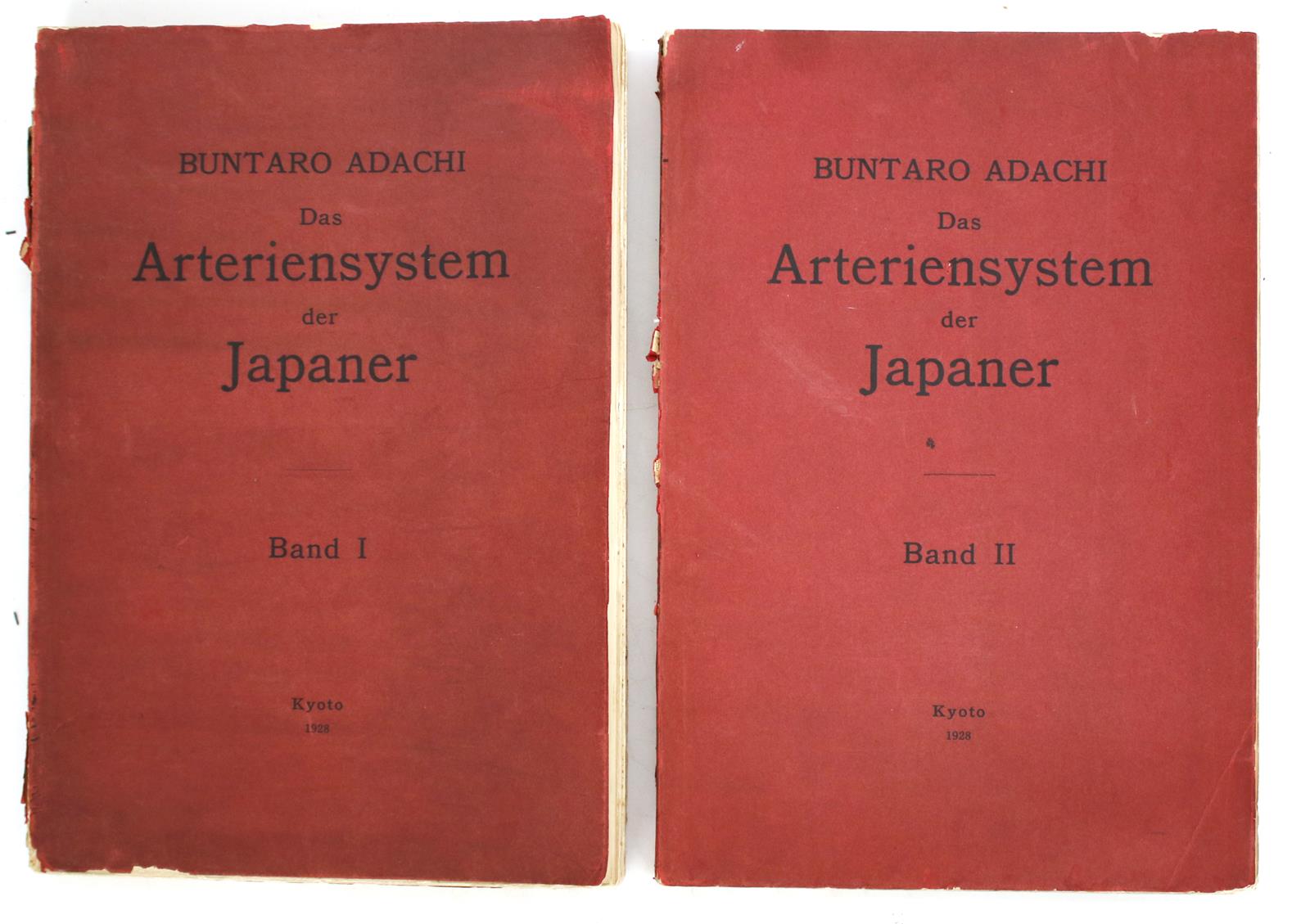 Adachi,B. | Bild Nr.11