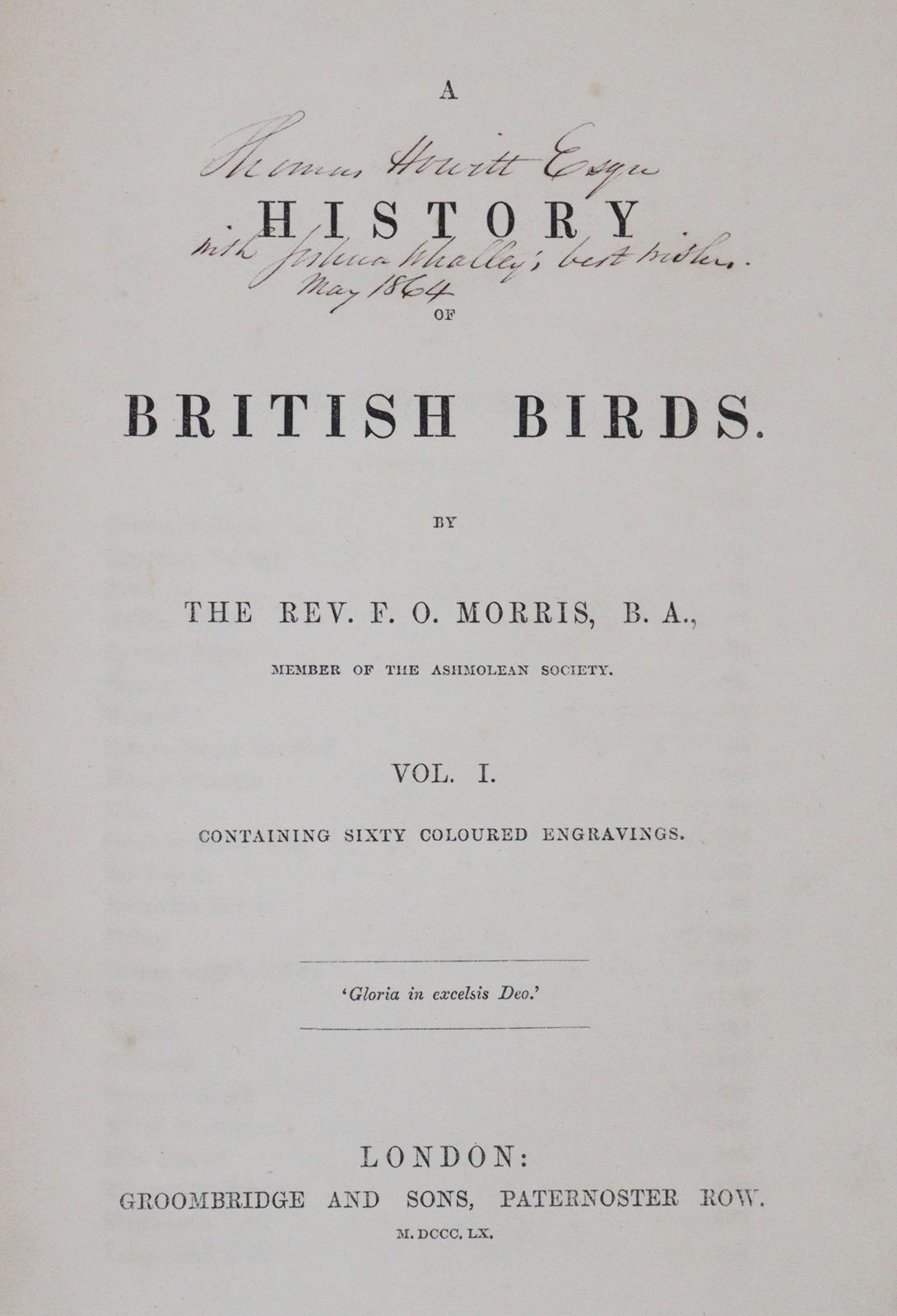 Morris,F.O. | Bild Nr.6