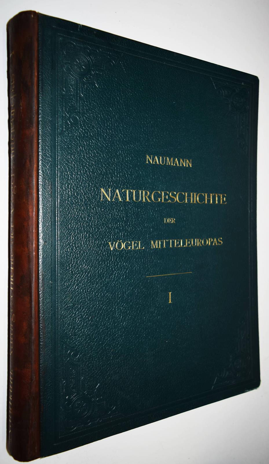 Naumann,(J.A.). | Bild Nr.2