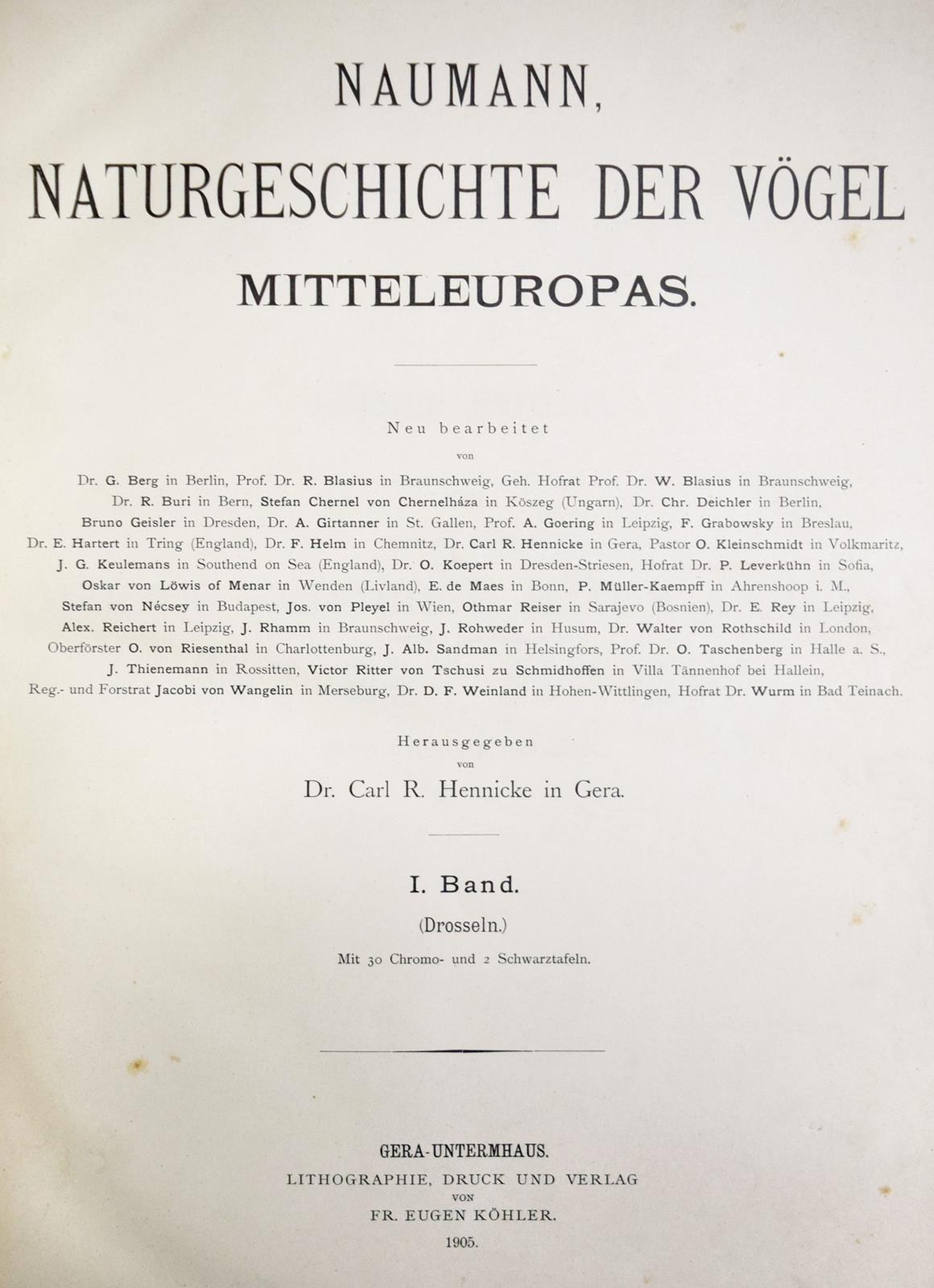 Naumann,(J.A.). | Bild Nr.3