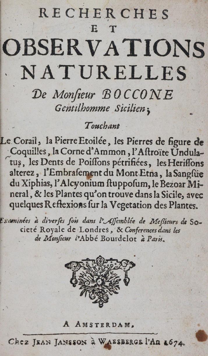 Boccone,P. | Bild Nr.1