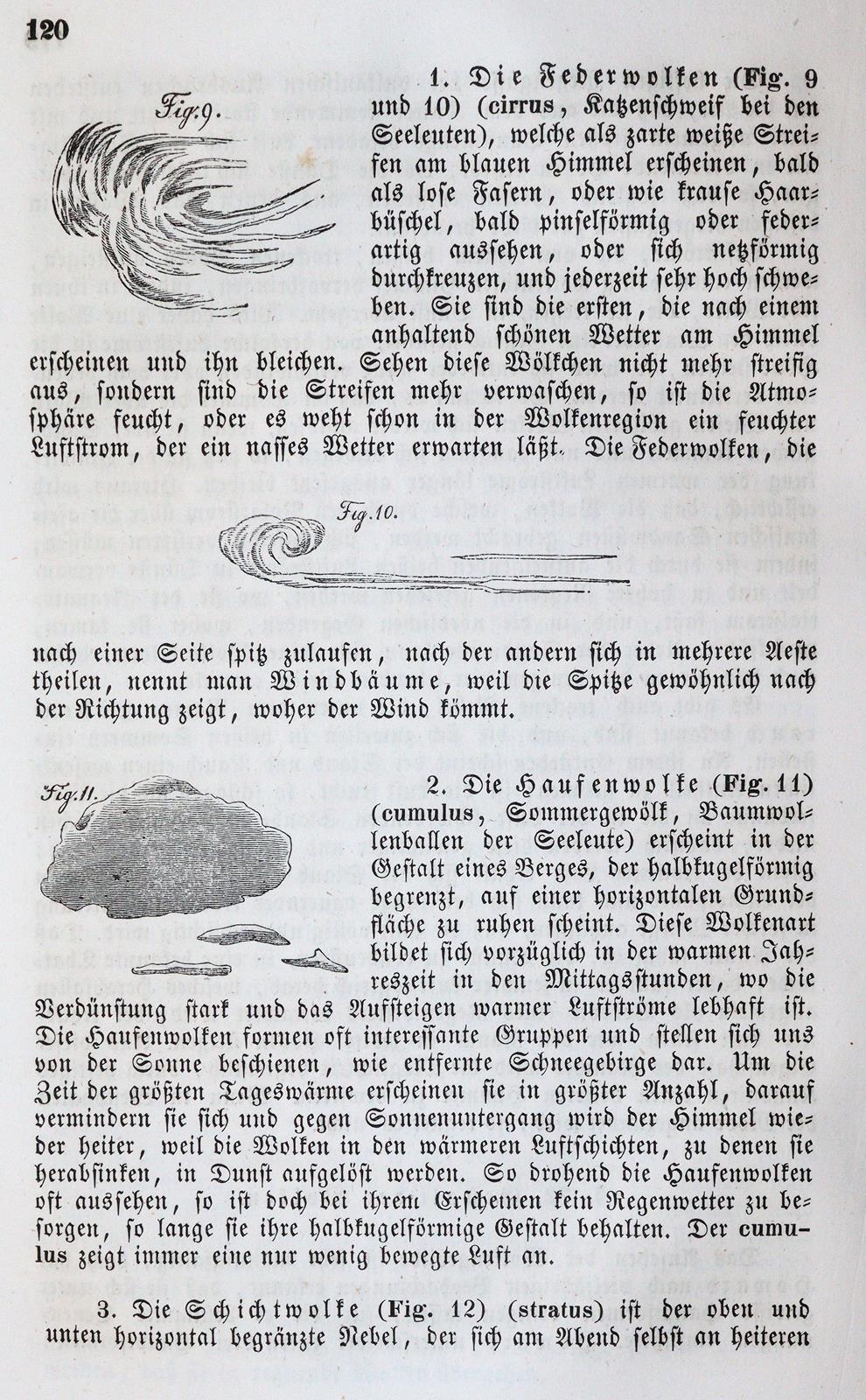 Kunzek,A. | Bild Nr.2