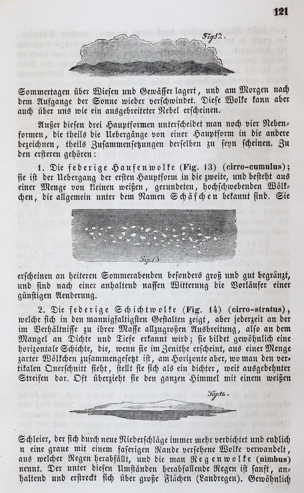 Kunzek,A. | Bild Nr.3