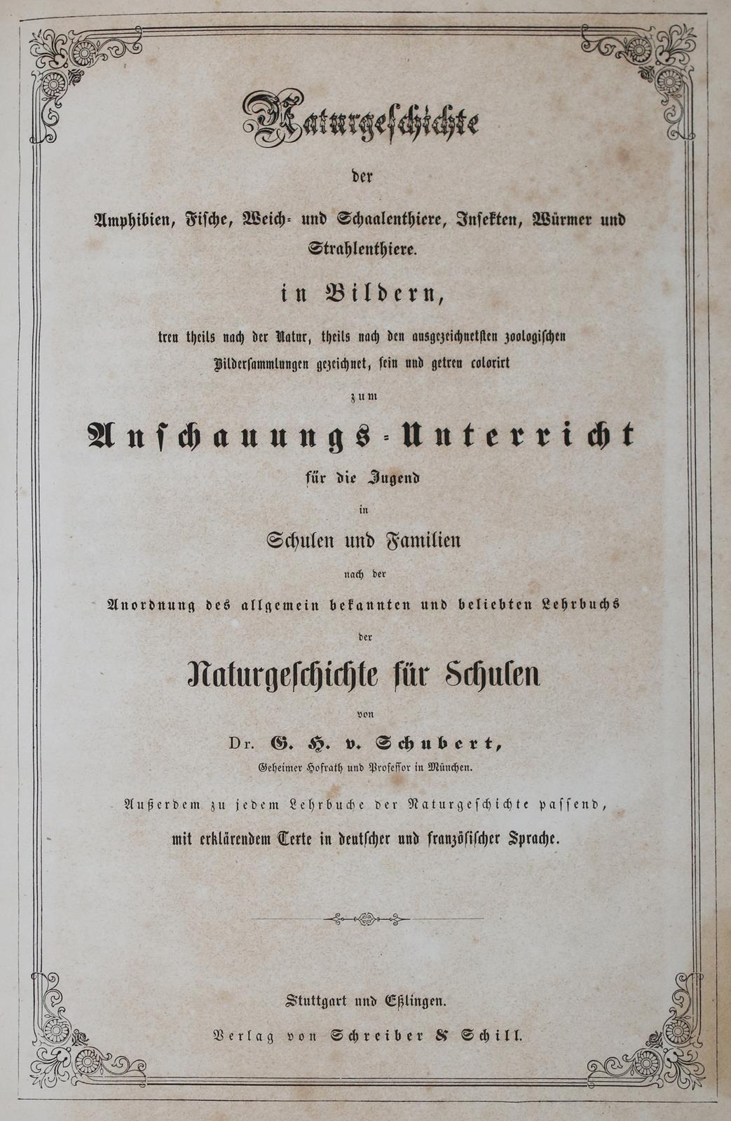 Schubert,G.H.v. | Bild Nr.3