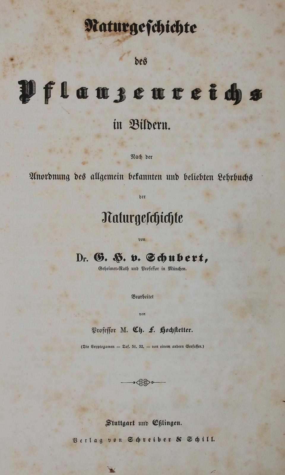 Schubert,G.H.v. | Bild Nr.10