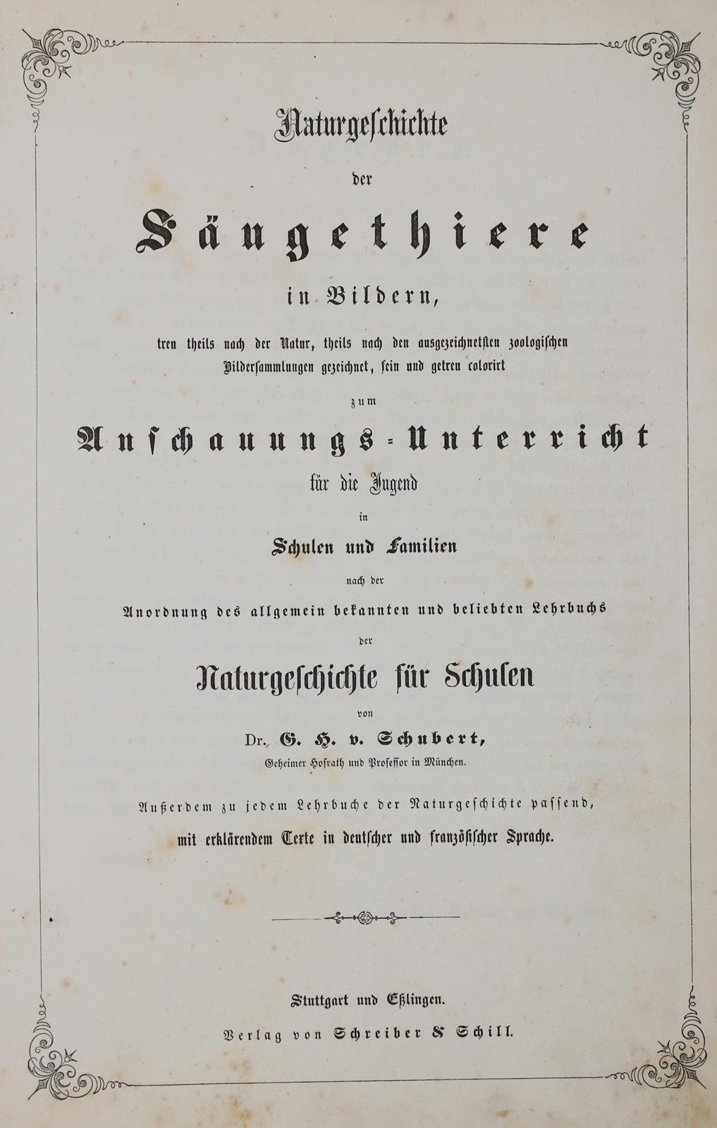 Schubert,G.H.v. | Bild Nr.12