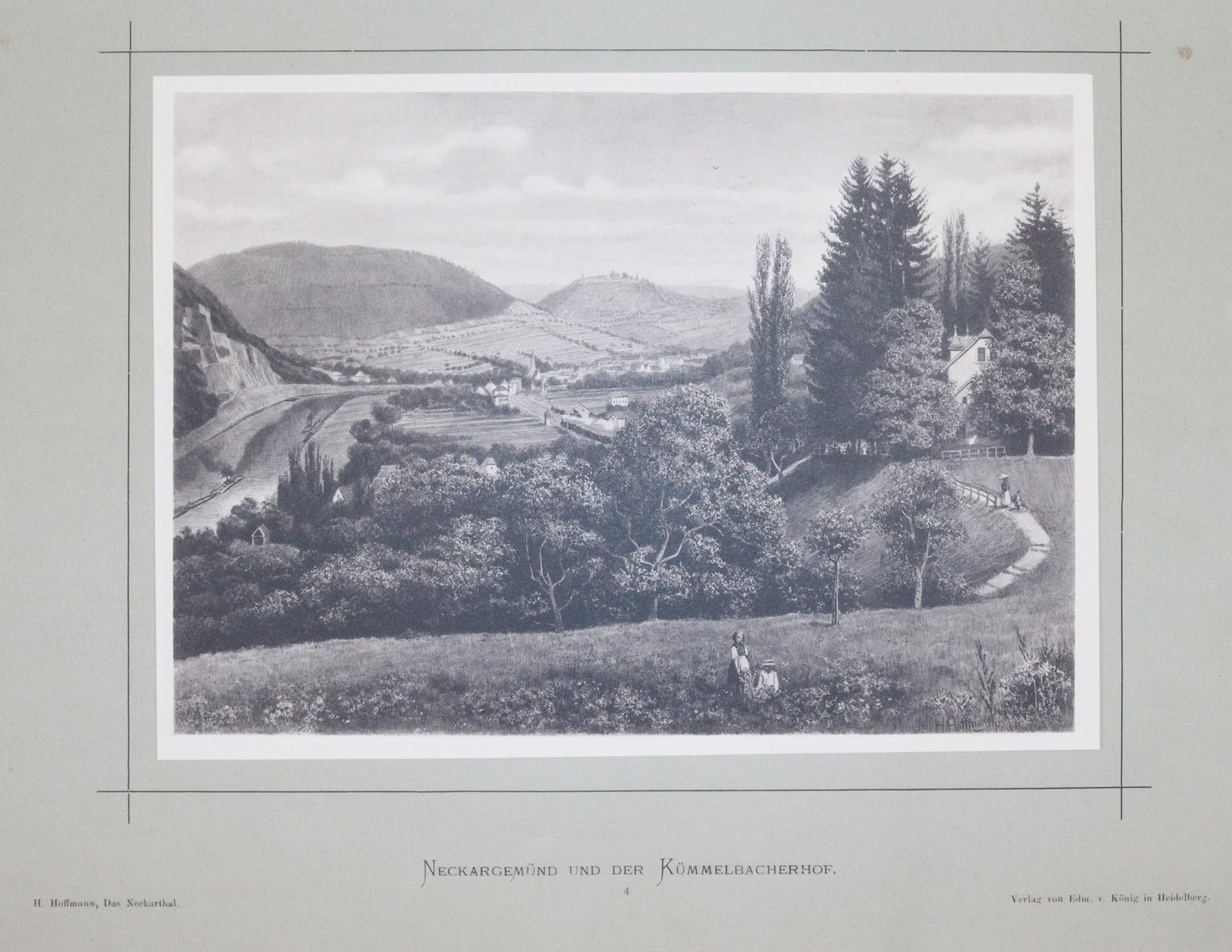Hoffmann,H. | Bild Nr.4
