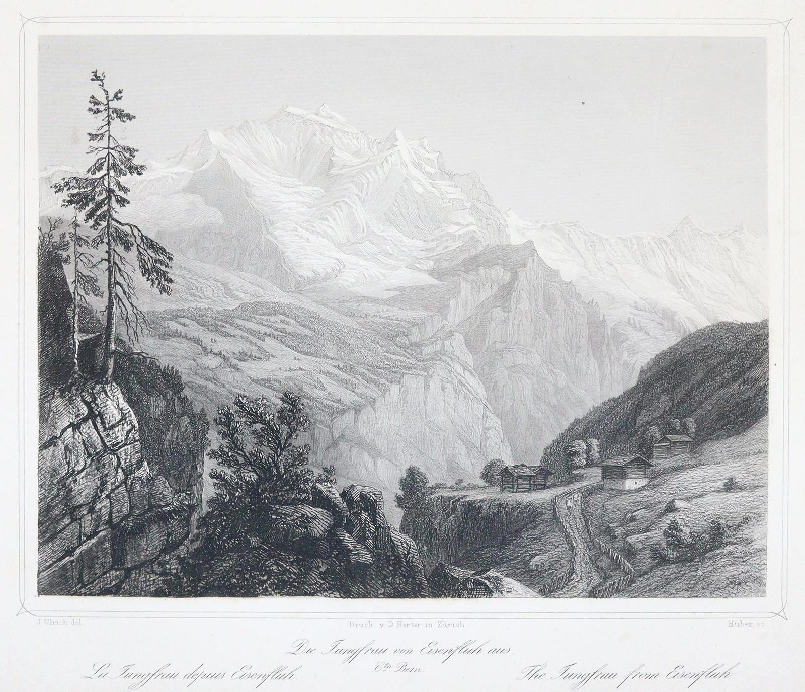 (Ulrich,J. | Bild Nr.3
