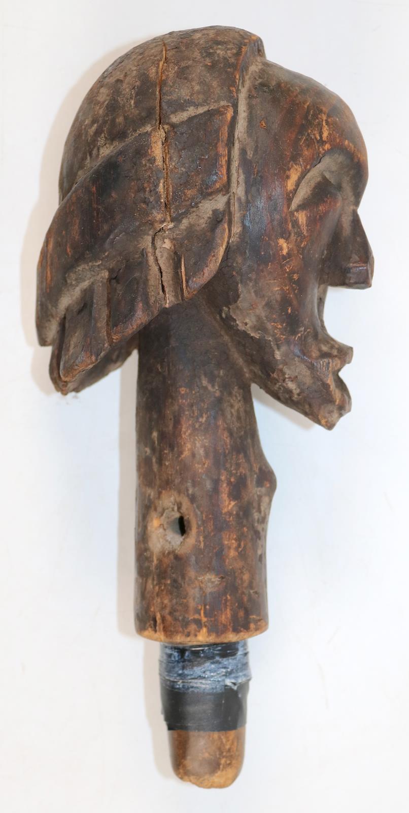 Fang Gabun | Bild Nr.2