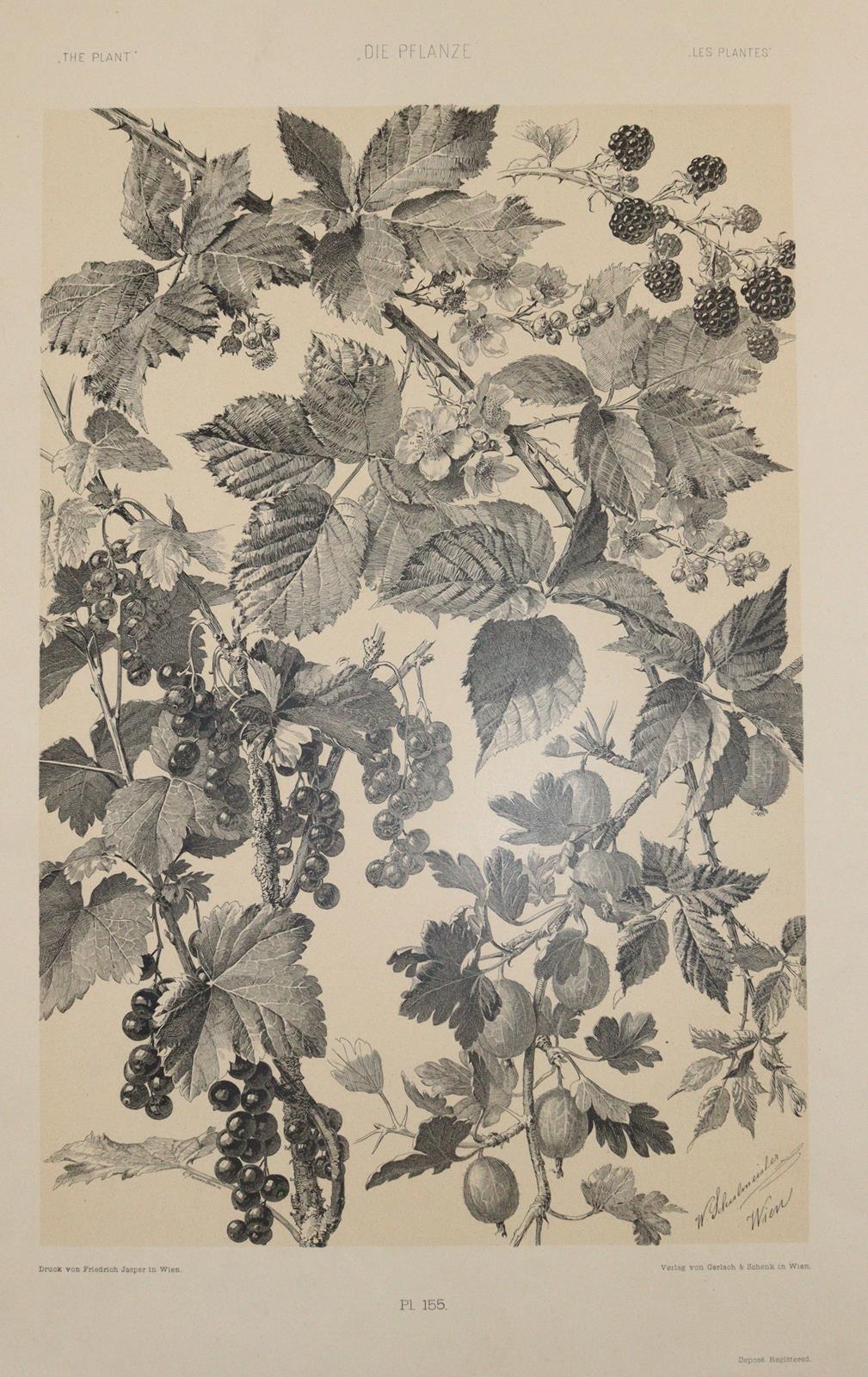 Gerlach, Martin. | Bild Nr.6