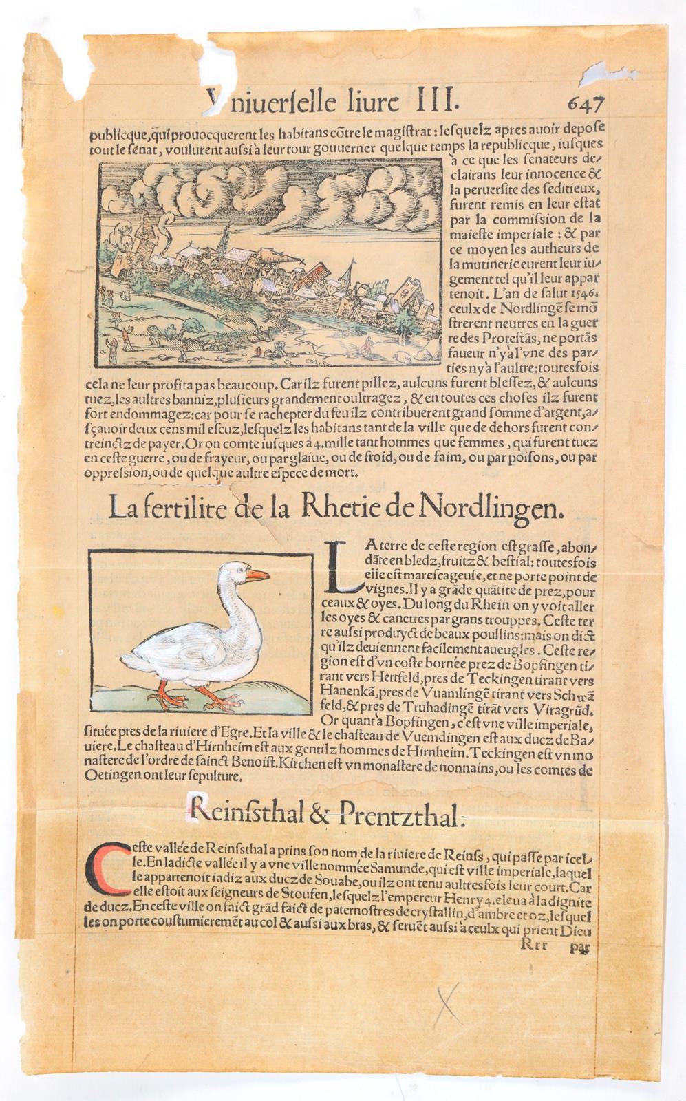 Konvolut | Bild Nr.2