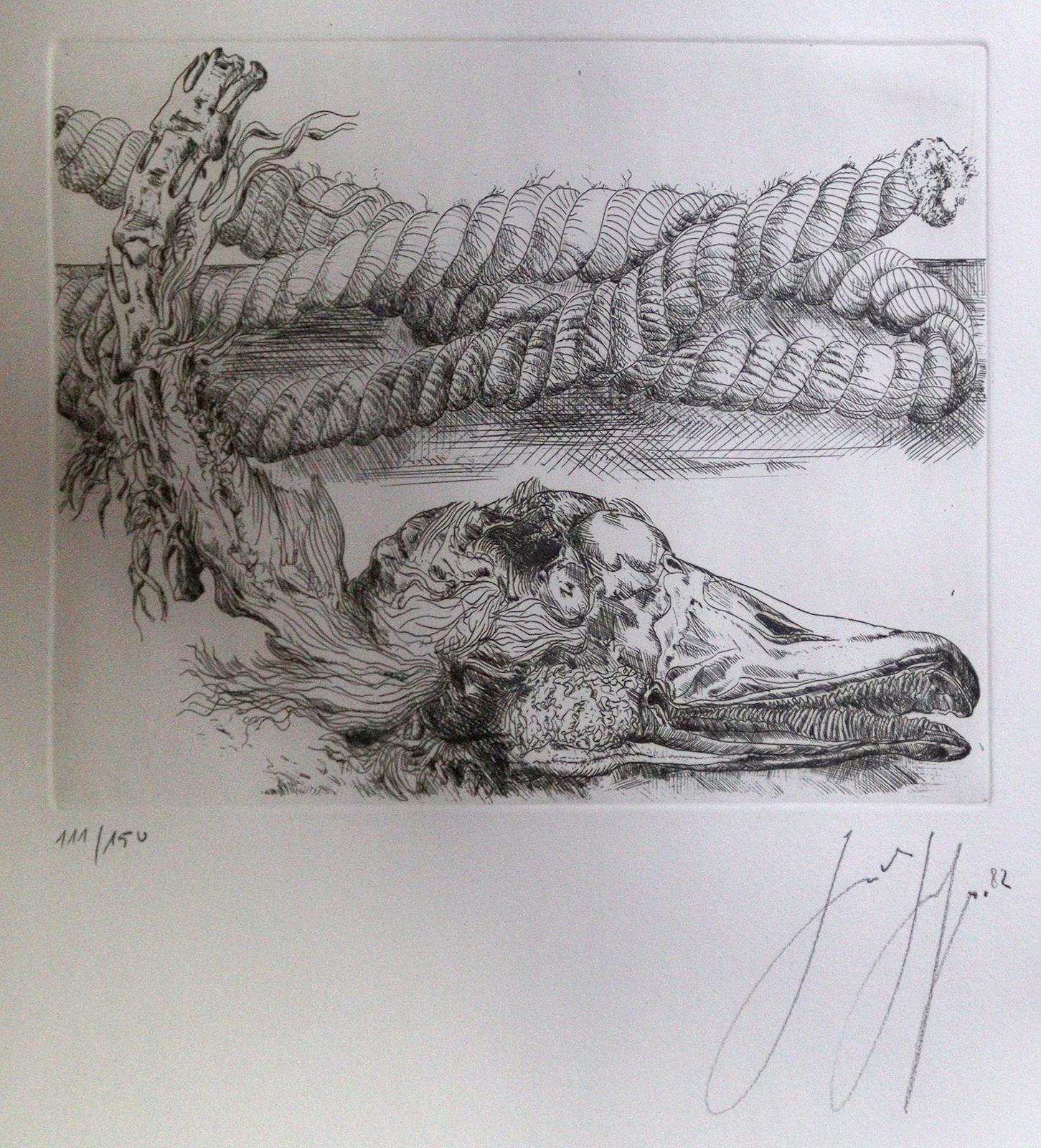 Grass, Günter | Bild Nr.1