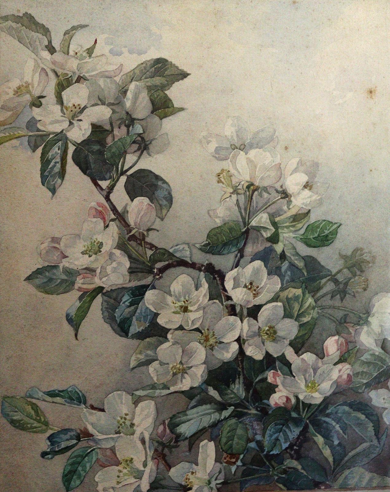 Kleinhempel, Gertrud | Bild Nr.1
