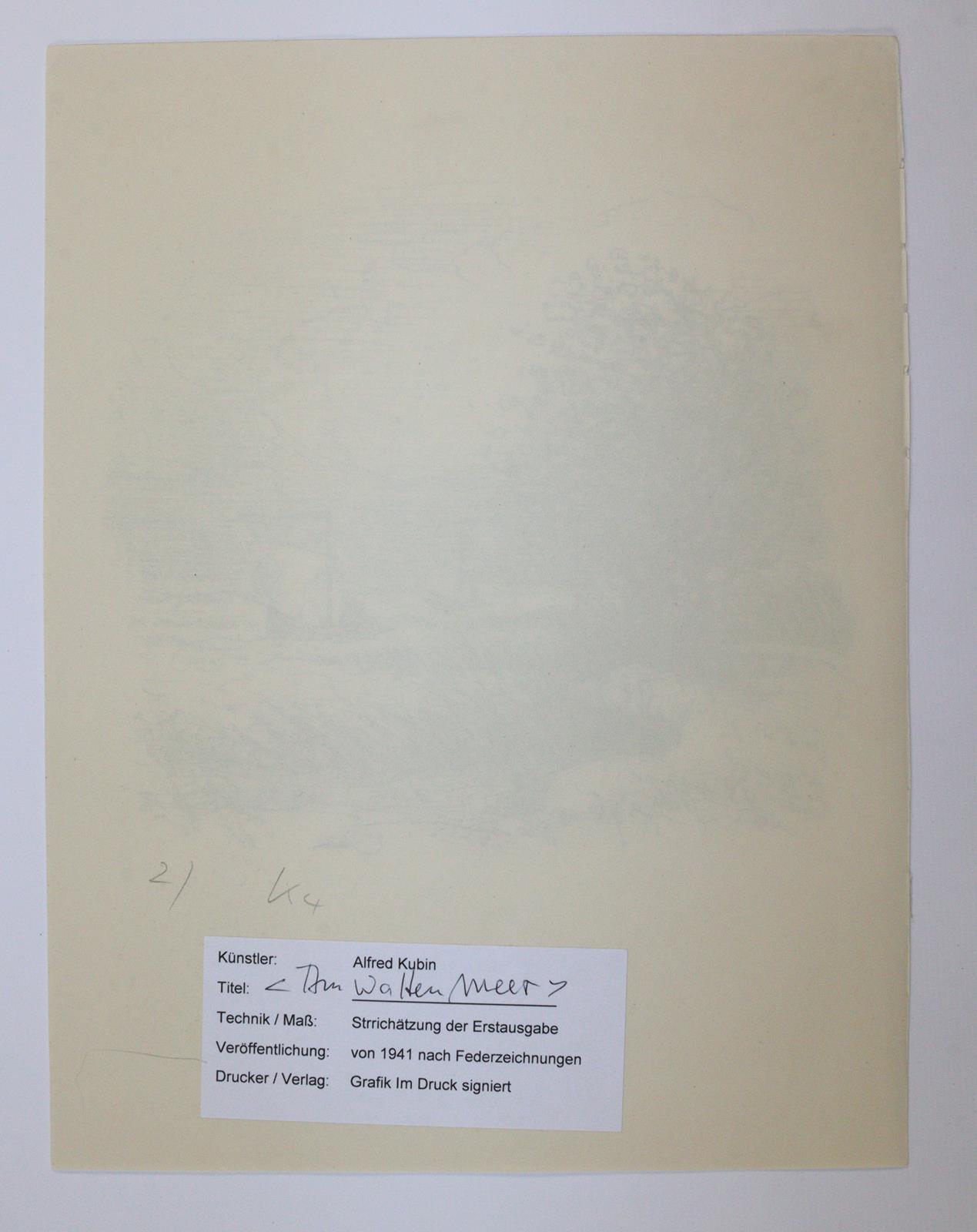 Kubin, Alfred | Bild Nr.2