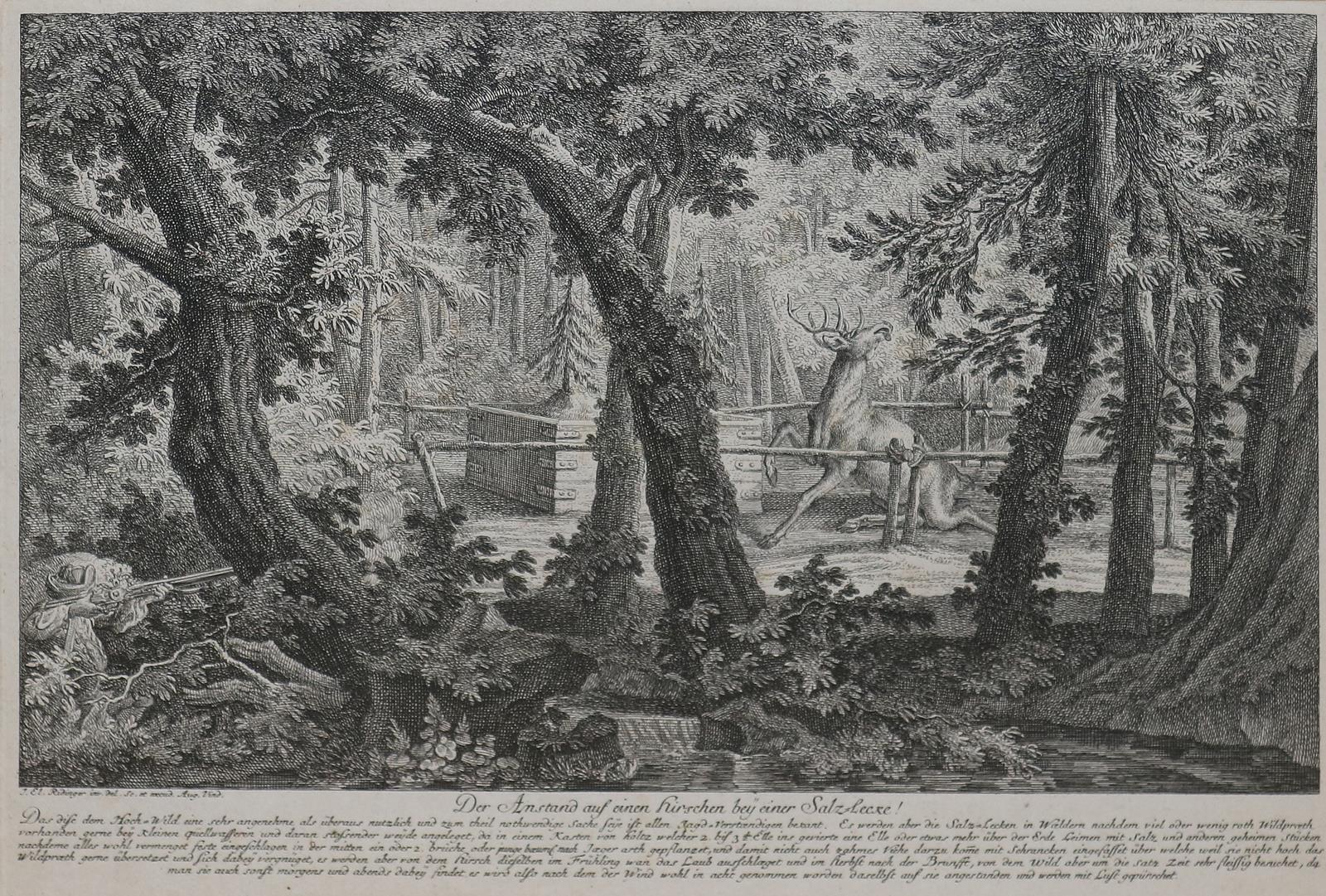 Ridinger, Johann Elias | Bild Nr.1