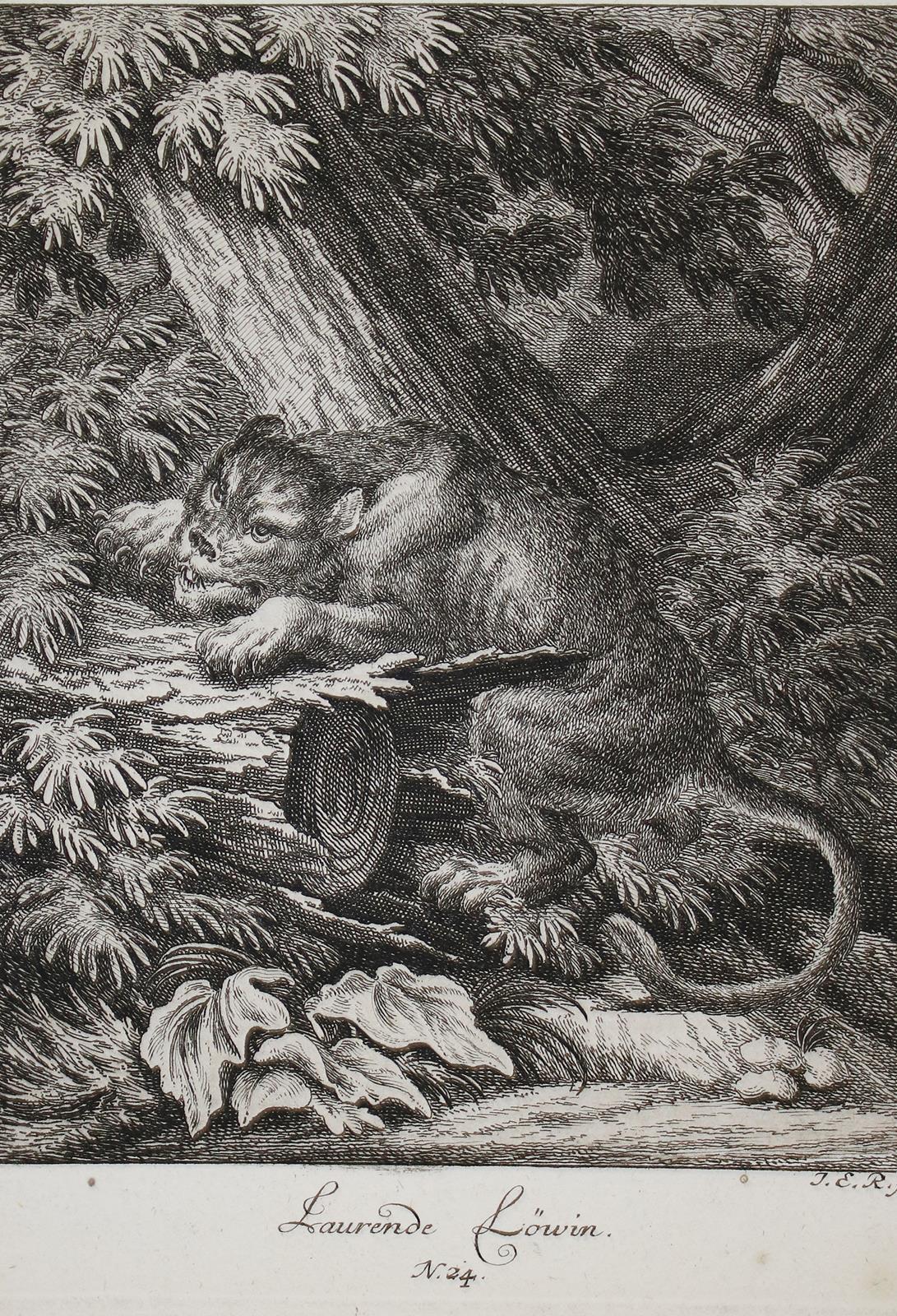 Tiere. | Bild Nr.1