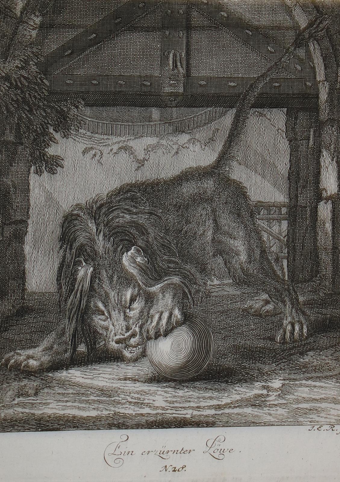Tiere. | Bild Nr.2