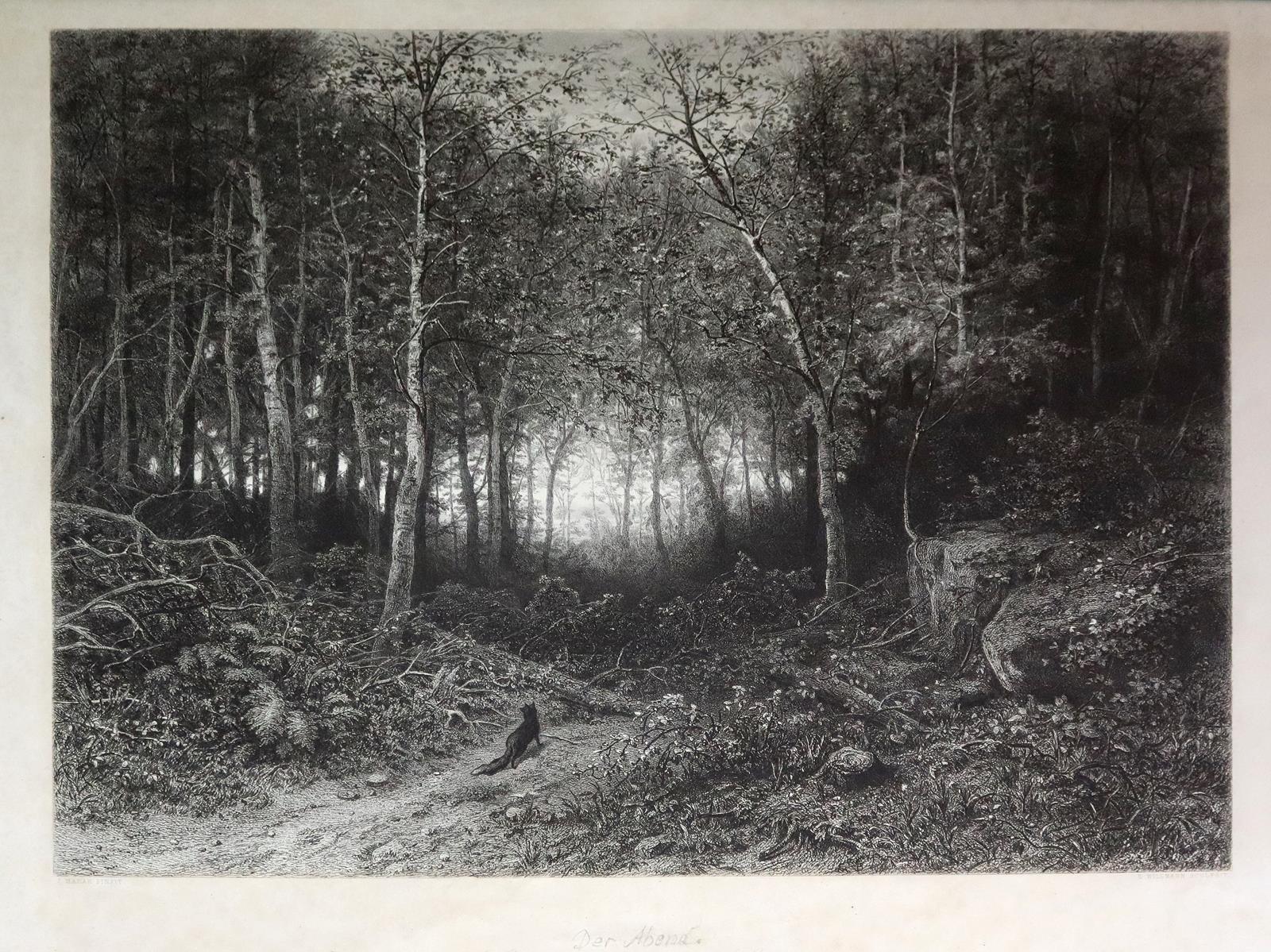 Wald. | Bild Nr.1