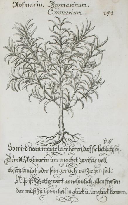 (Hohberg,W.H.v.). | Bild Nr.1