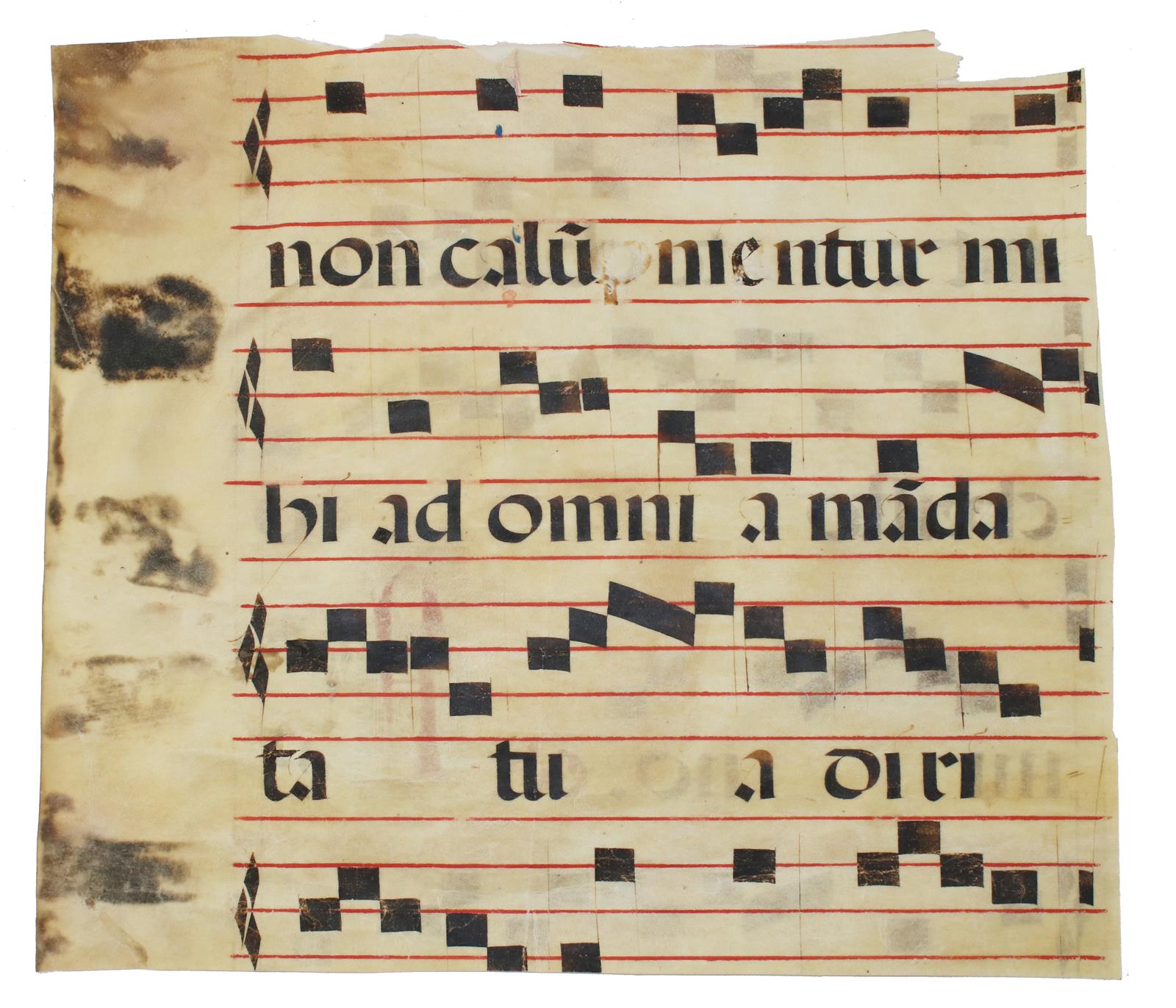 Psalter. | Bild Nr.5