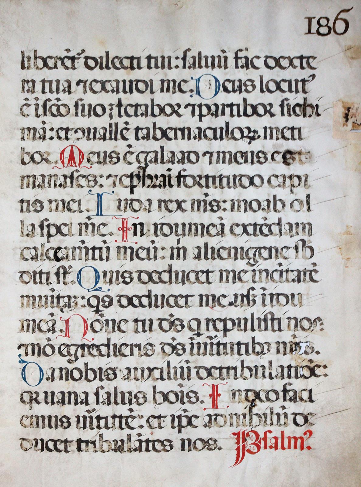Psalter. | Bild Nr.2