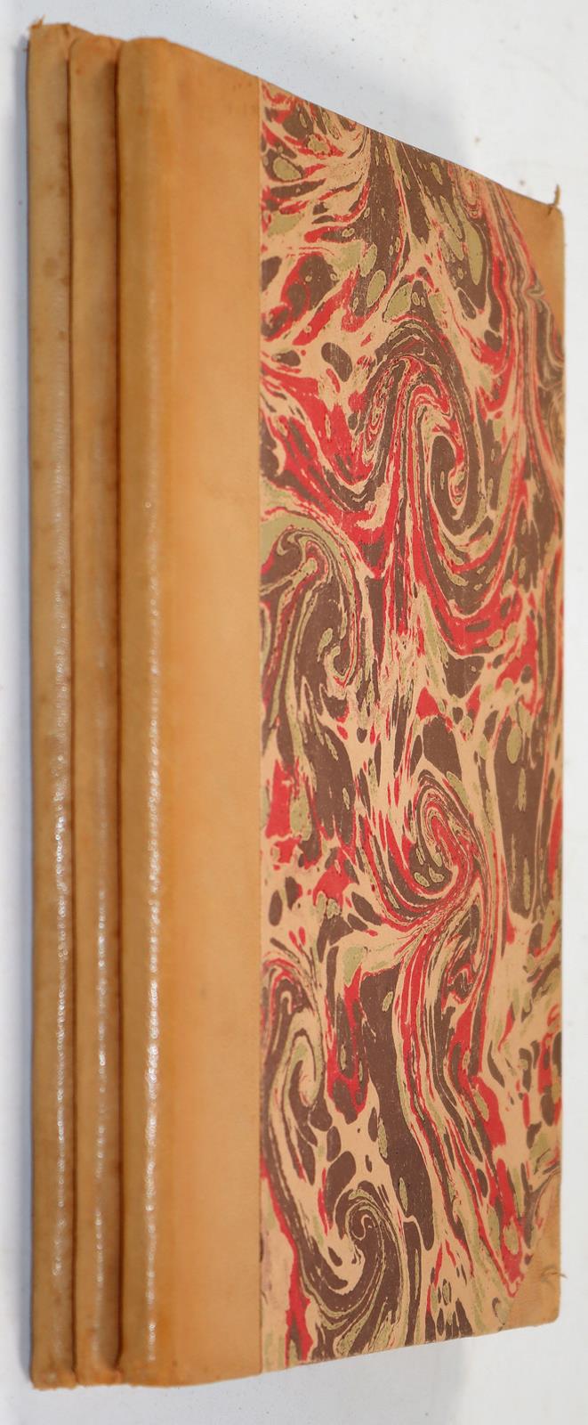 Peregrinus,L. | Bild Nr.2
