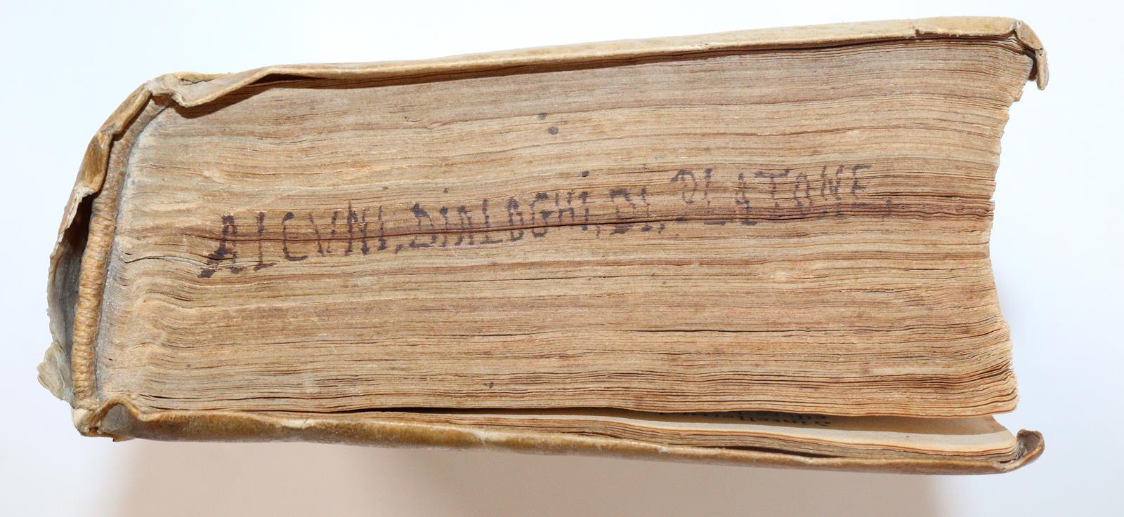 Plato. | Bild Nr.4