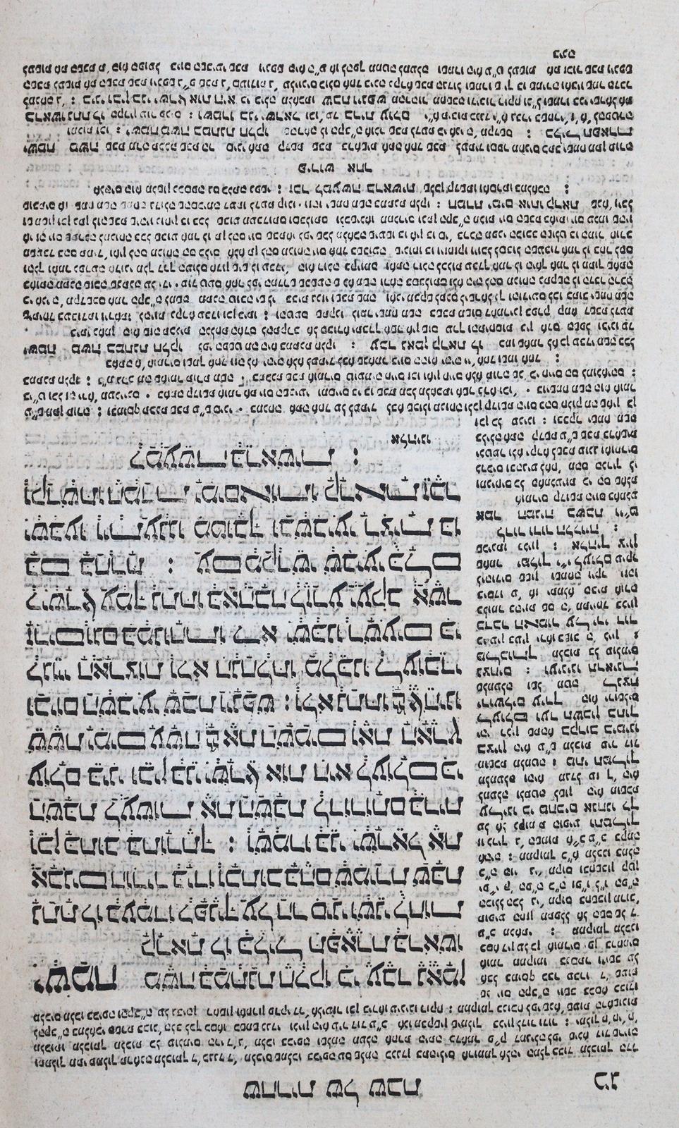 Seder | Bild Nr.2