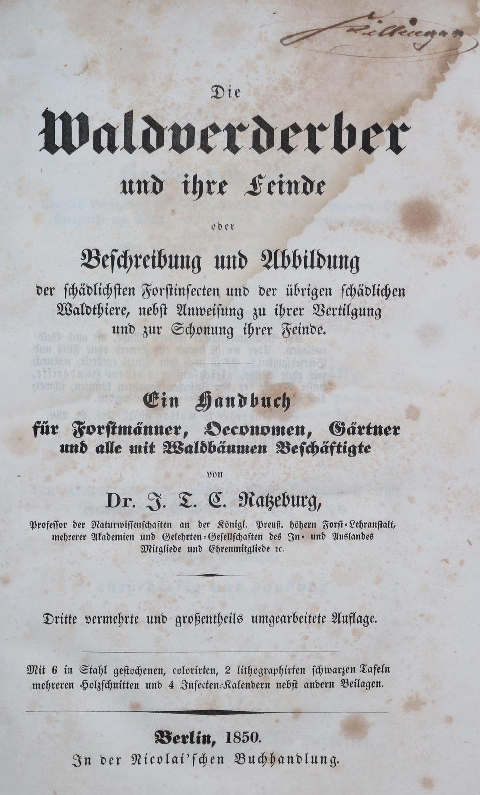 Konvolut | Bild Nr.6