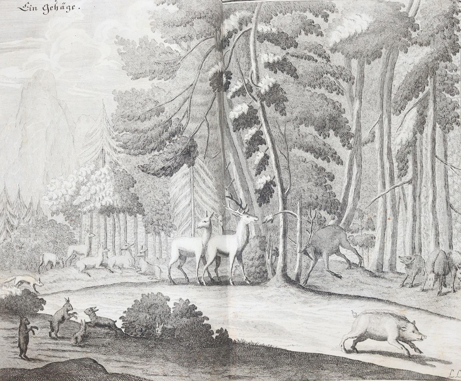 Fleming,H.F.v. | Bild Nr.5