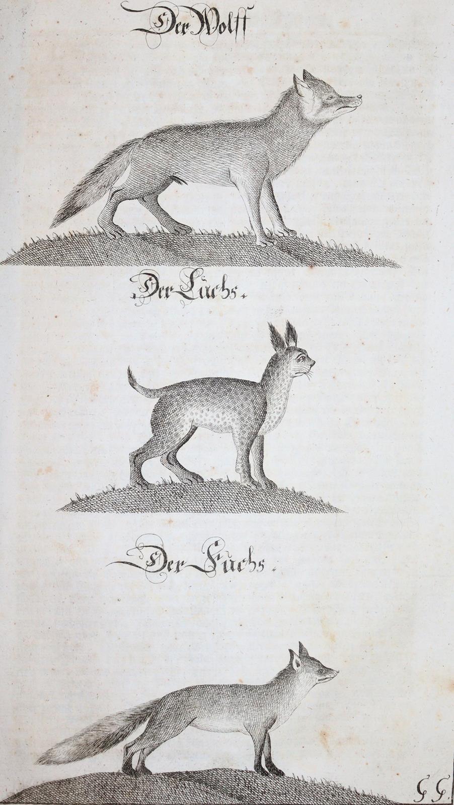 Fleming,H.F.v. | Bild Nr.6