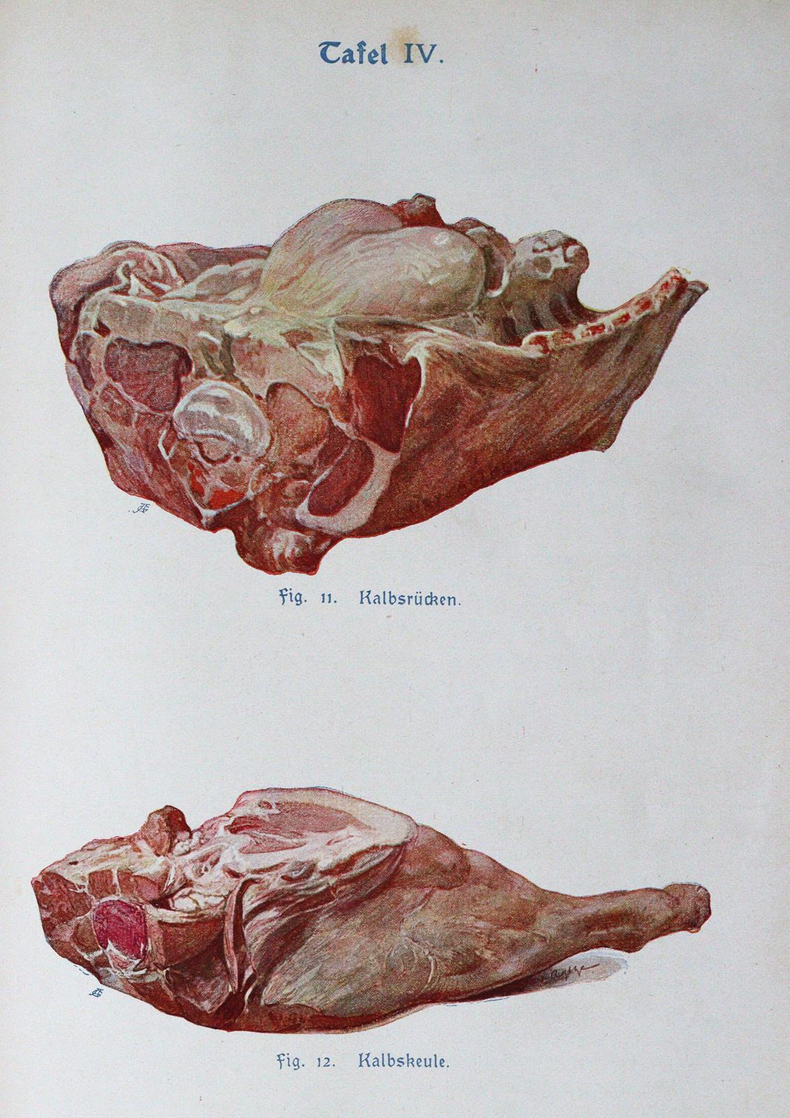 Sammlung | Bild Nr.3