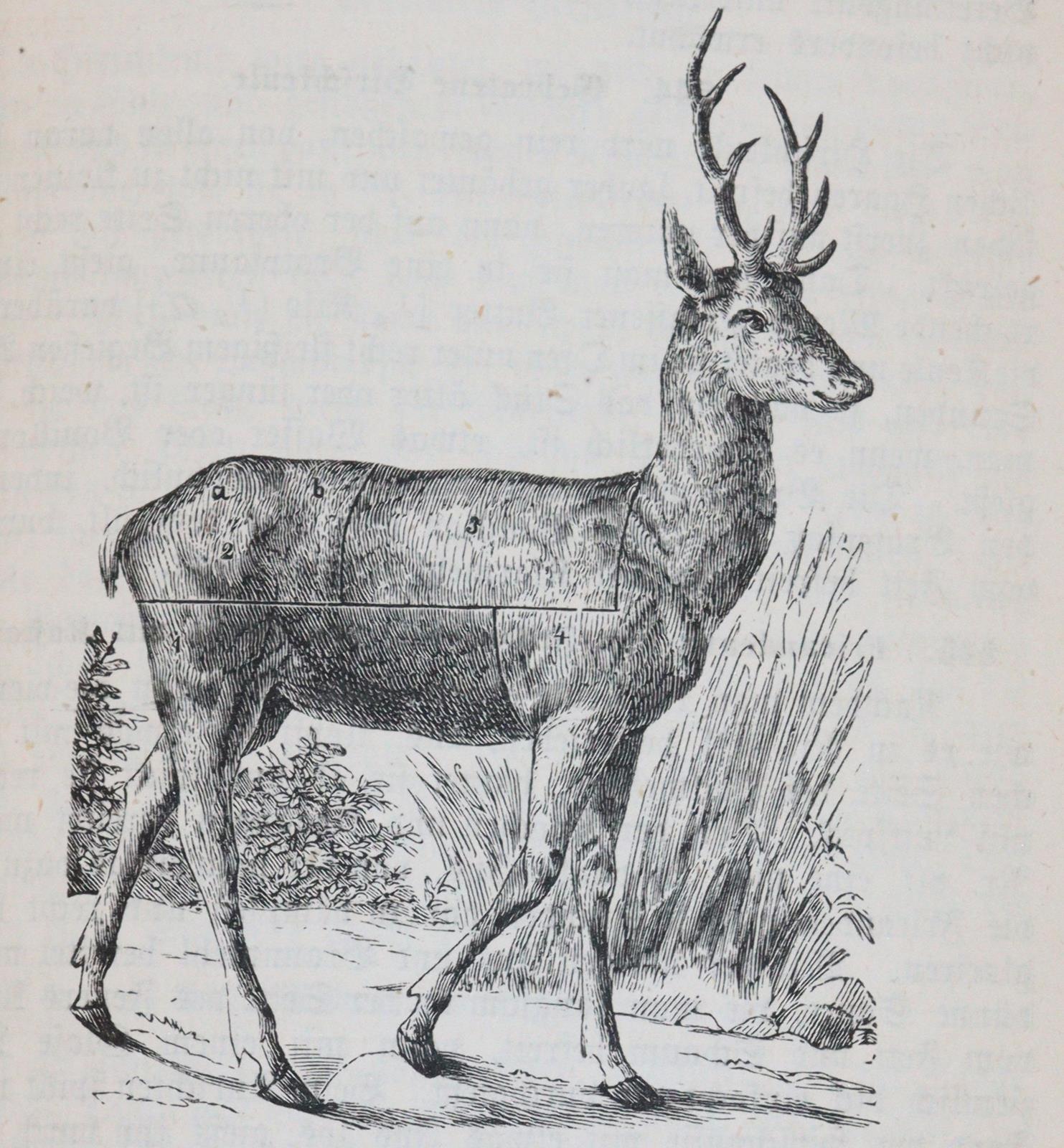 Rückgänge. | Bild Nr.38