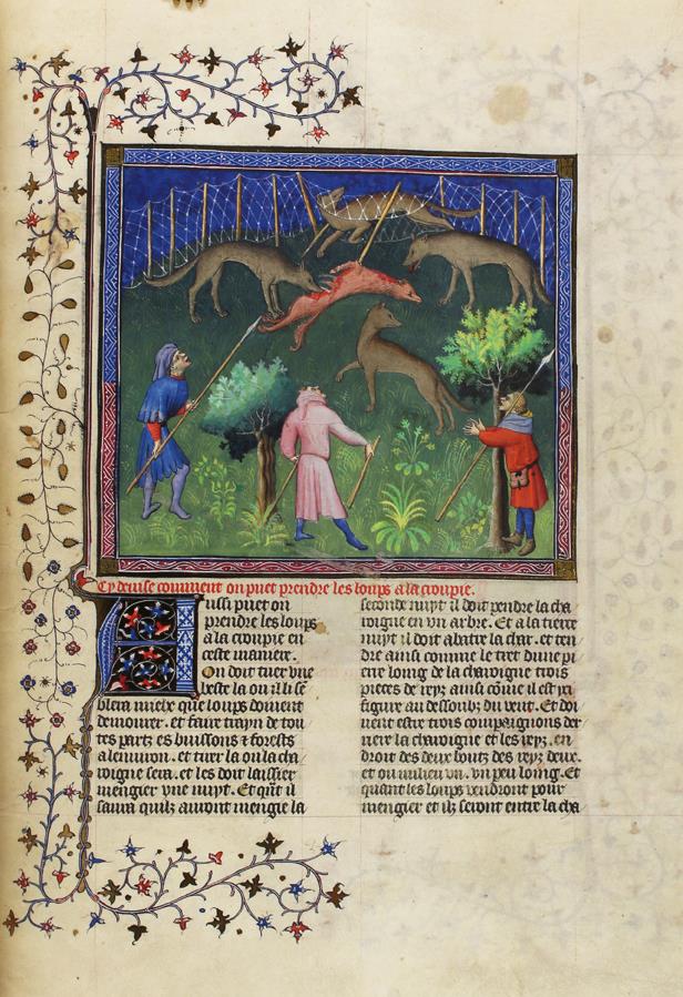Gaston Phoebus. | Bild Nr.1