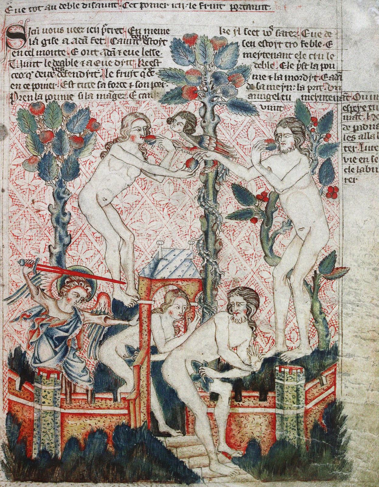 Holkham Bible, The. | Bild Nr.2