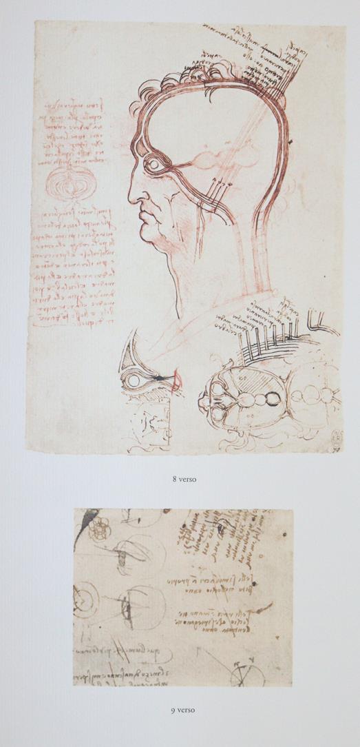 Leonardo da Vinci. | Bild Nr.1