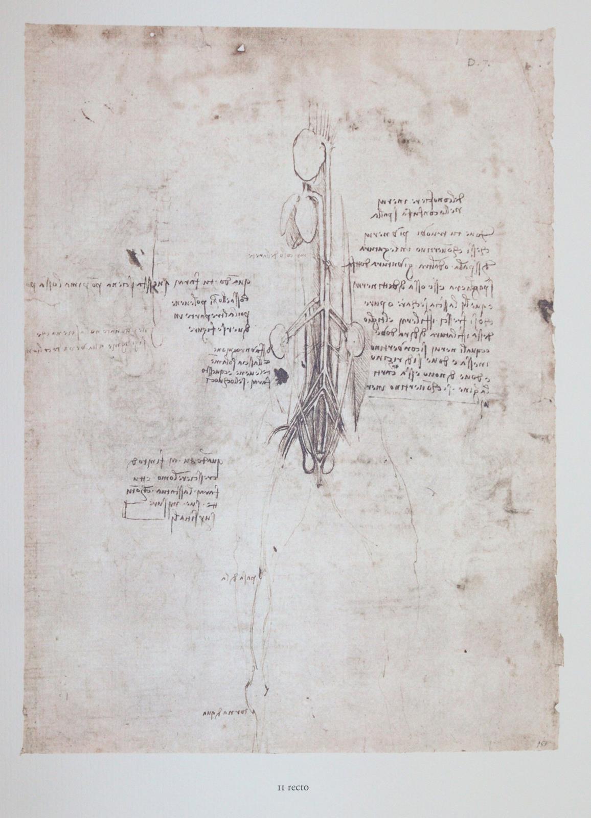 Leonardo da Vinci. | Bild Nr.2