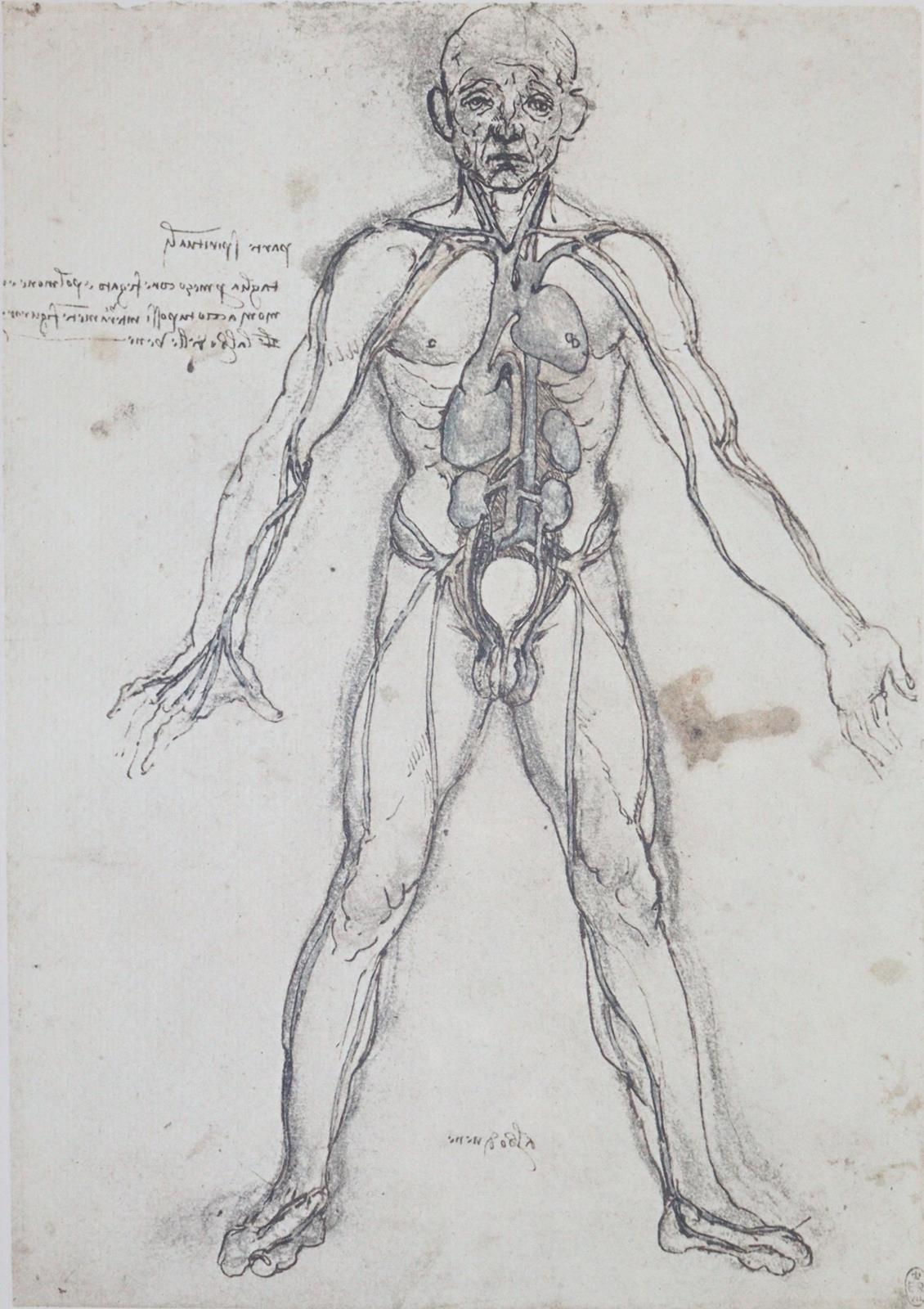 Leonardo da Vinci. | Bild Nr.3