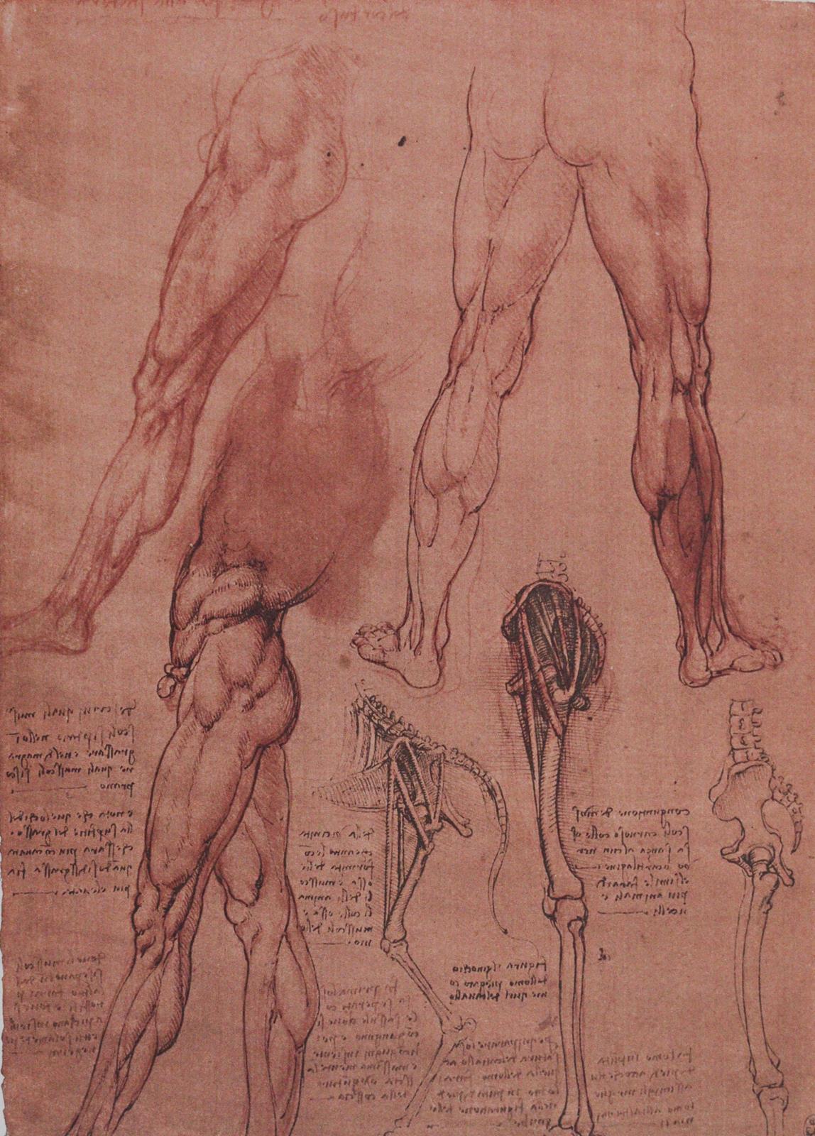 Leonardo da Vinci. | Bild Nr.5