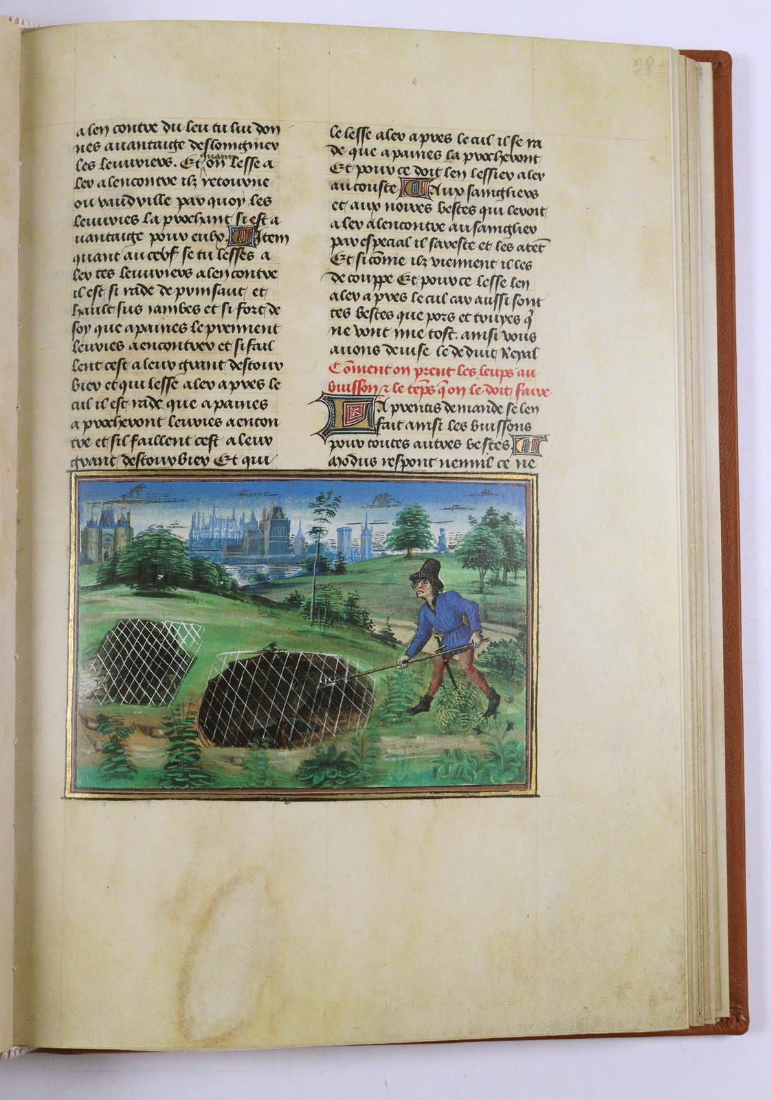 Livre du Roy Modus, Le. | Bild Nr.3