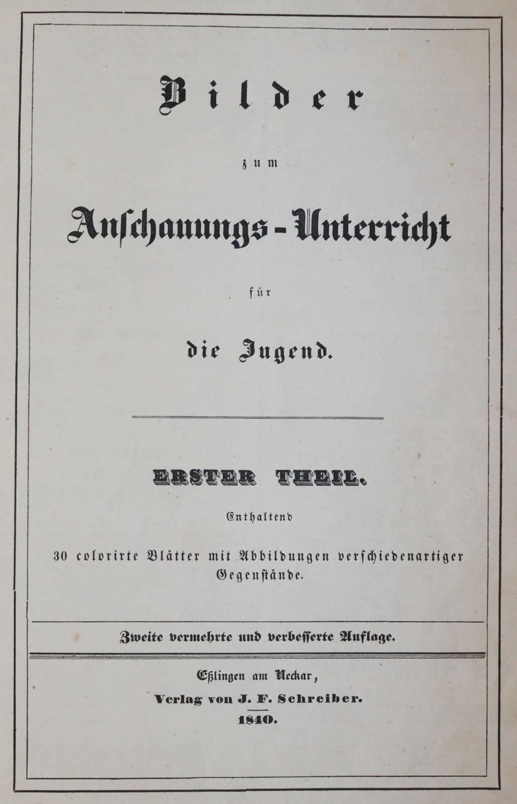 Bilder | Bild Nr.3