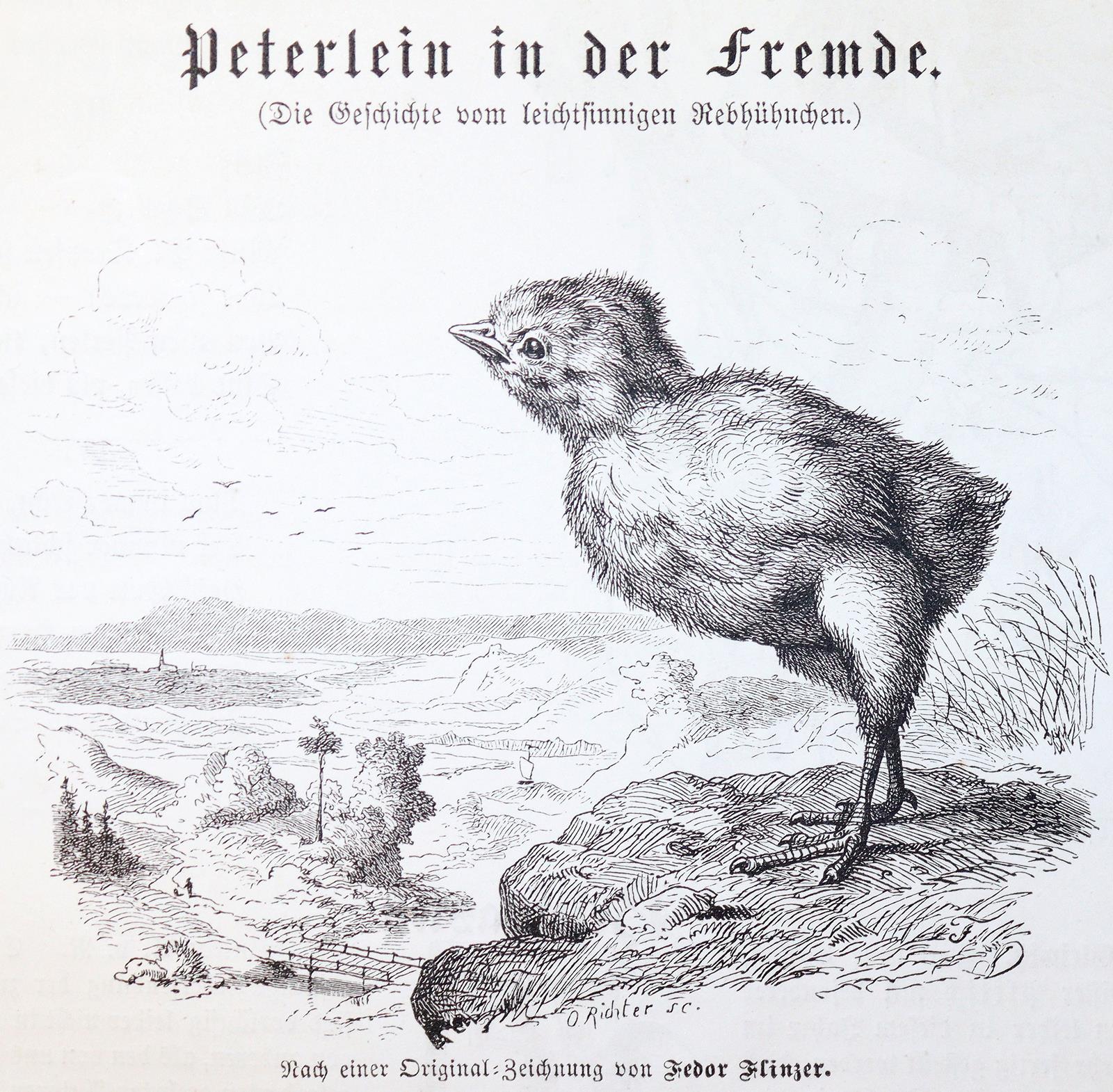 Lohmeyer,J. (Hrsg.). | Bild Nr.3