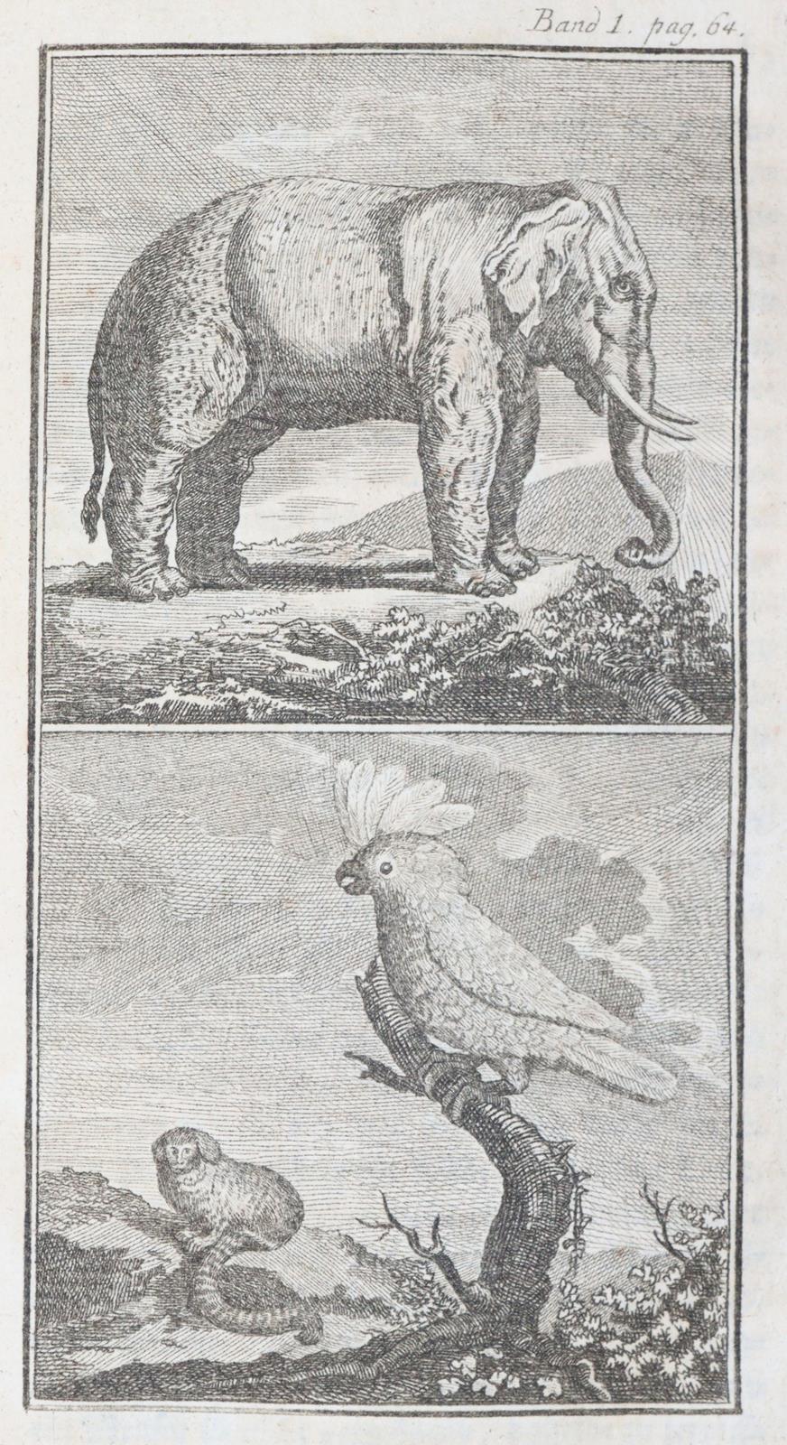 (Weiße,C.F. Hrsg.). | Bild Nr.6