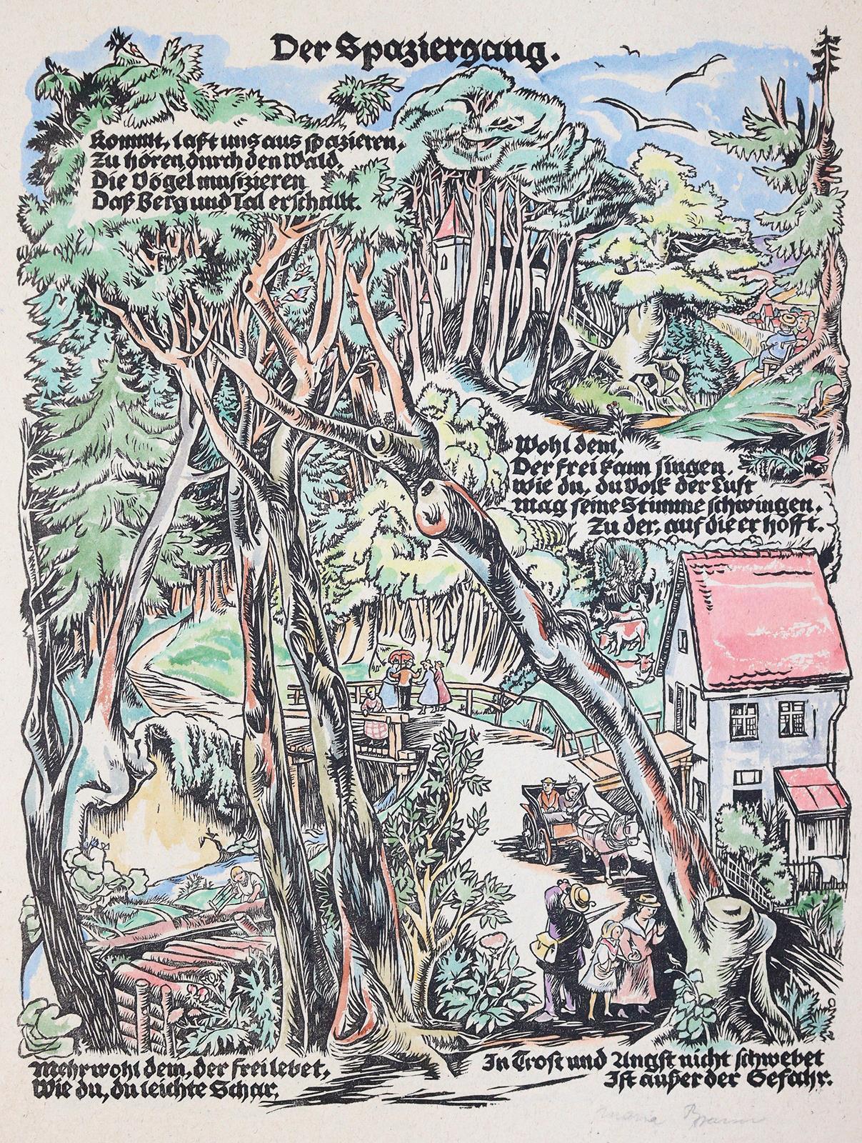 Braun,M. | Bild Nr.6