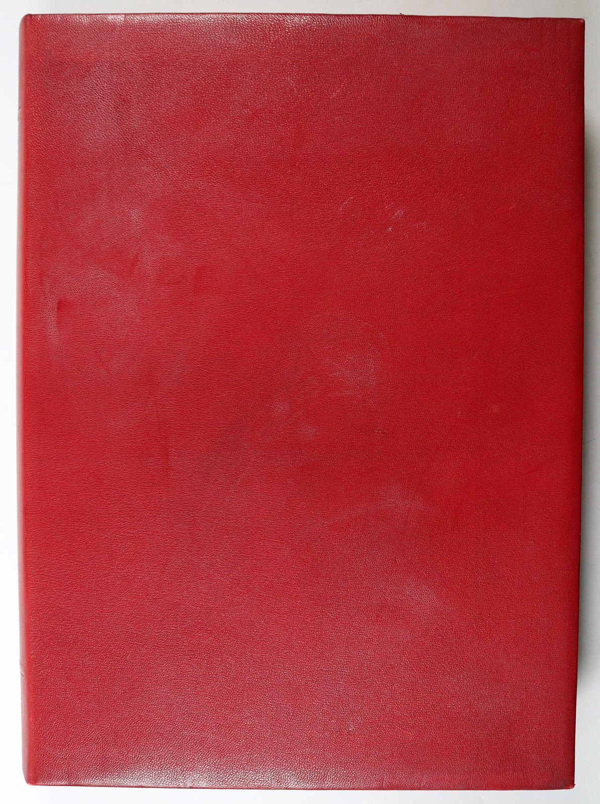  | Bild Nr.8